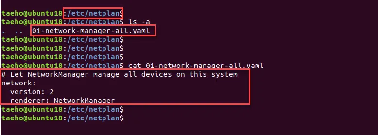 01-network-manager-all.yaml