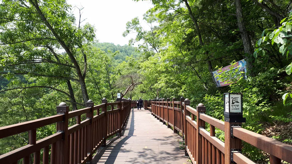 [걷기좋은길] 단양 잔도길과 만천하 스카이워크