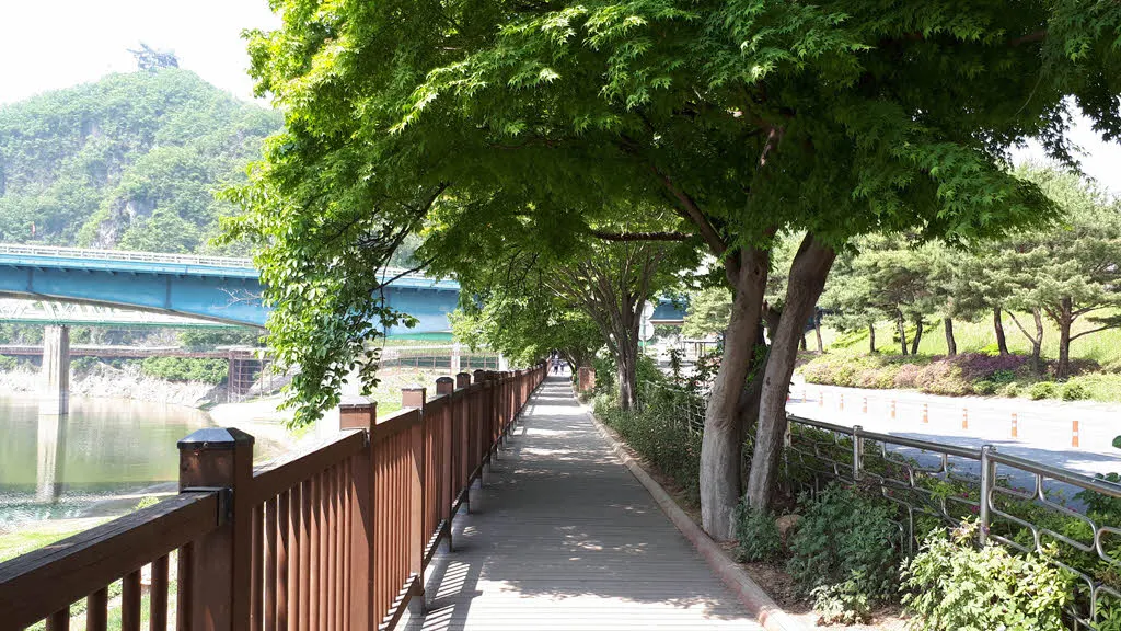 [걷기좋은길] 단양 잔도길과 만천하 스카이워크