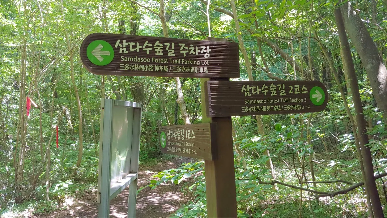 [걷기좋은길] 제주 삼다수숲길을 걷다