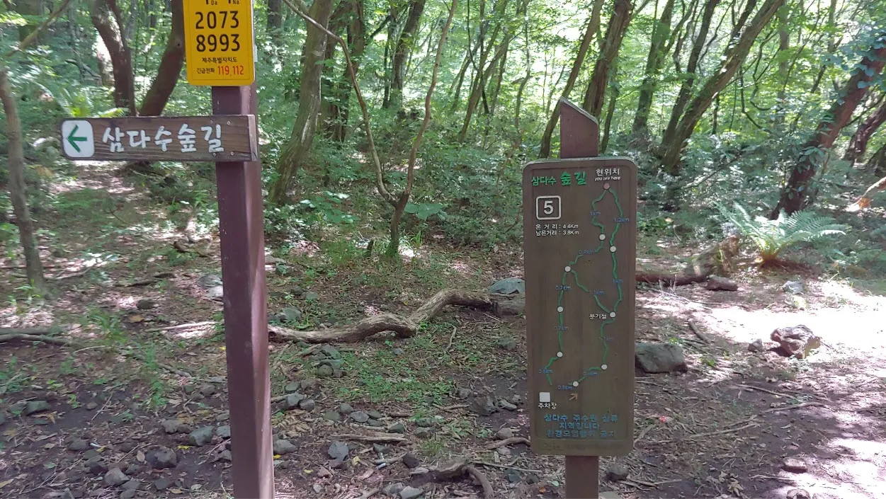 [걷기좋은길] 제주 삼다수숲길을 걷다