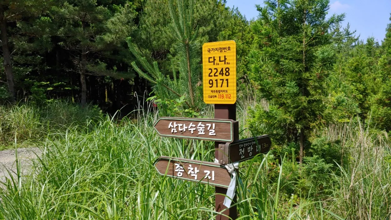 [걷기좋은길] 제주 삼다수숲길을 걷다
