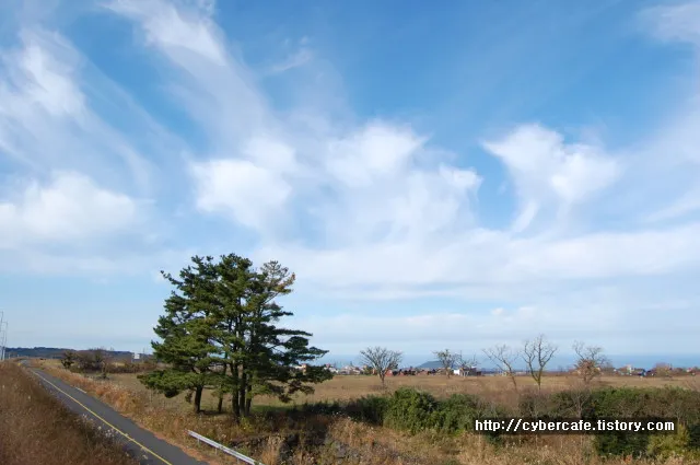 멋진 제주의 하늘