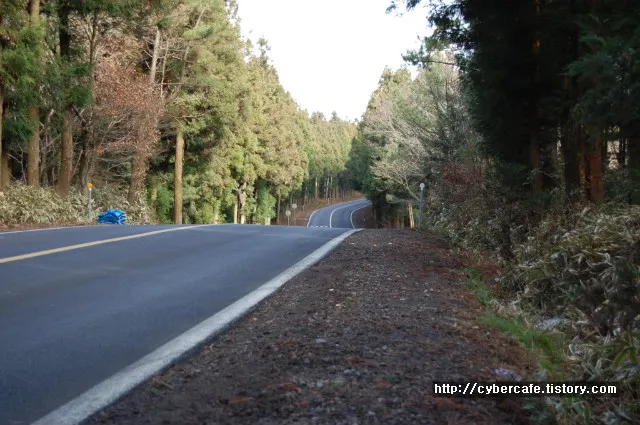 드라이브하기 좋은 제주의 도로
