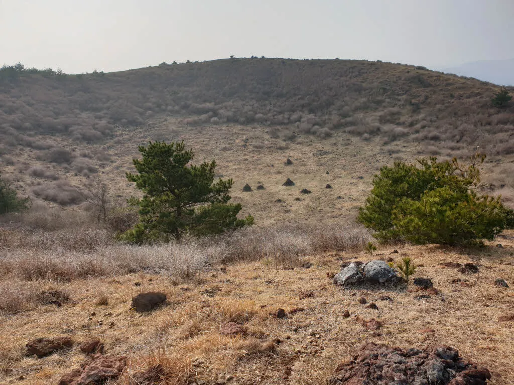 [제주여행] 높지만 높지 않은 높은오름에 오르다.