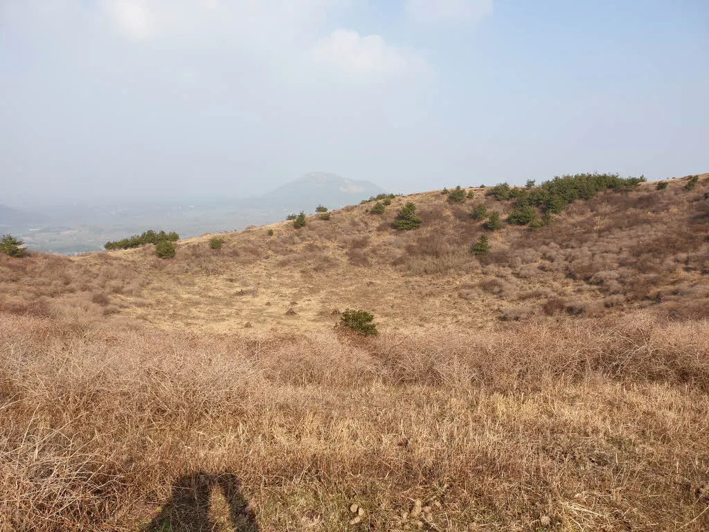 [제주여행] 높지만 높지 않은 높은오름에 오르다.
