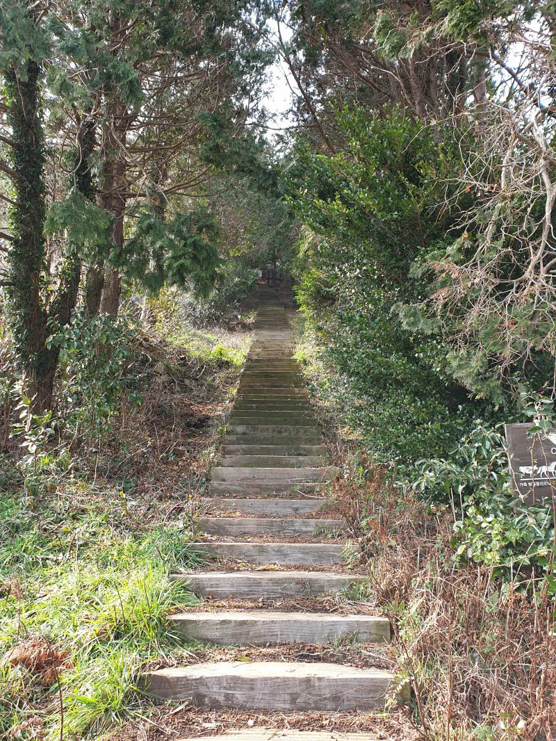 [제주여행] 높지만 높지 않은 높은오름에 오르다.