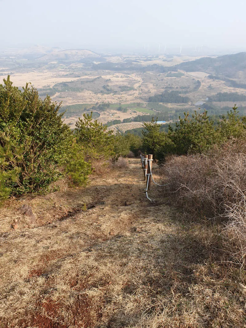 [제주여행] 높지만 높지 않은 높은오름에 오르다.