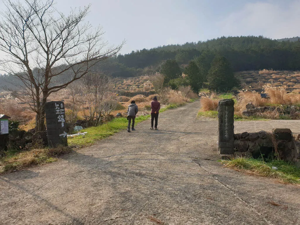 [제주여행] 높지만 높지 않은 높은오름에 오르다.