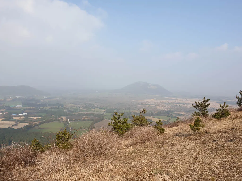 [제주여행] 높지만 높지 않은 높은오름에 오르다.