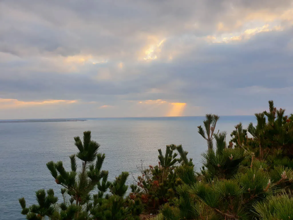 [걷기좋은길]제주 송악산 둘레길