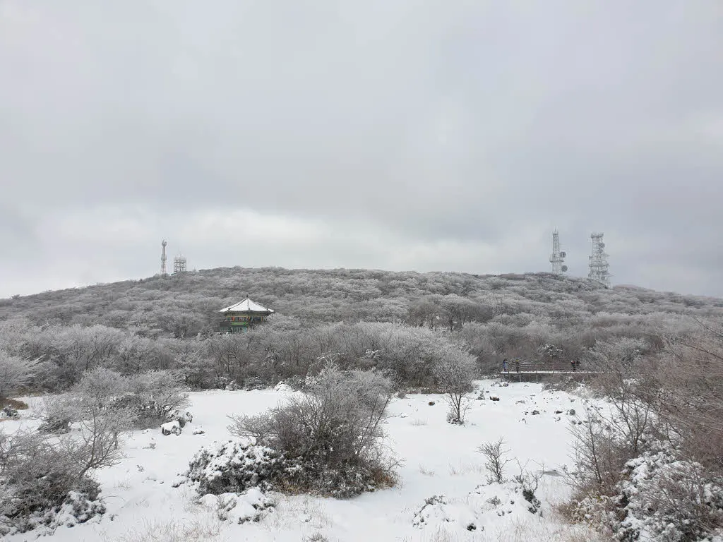 한라산 1100고지 - 람사르습지의 설경
