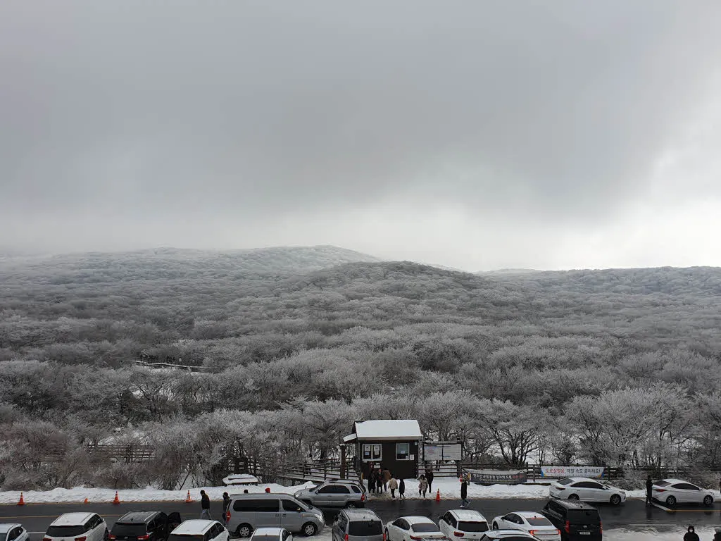 한라산 1100고지 - 람사르습지의 설경