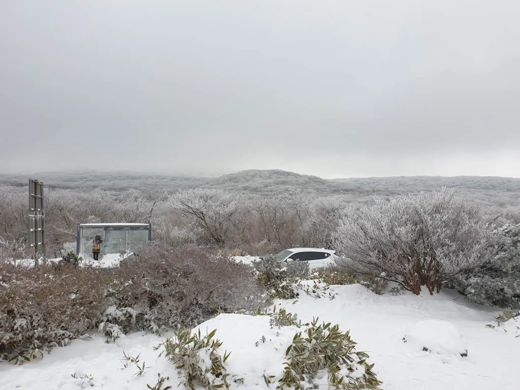 한라산 1100고지 - 람사르습지의 설경