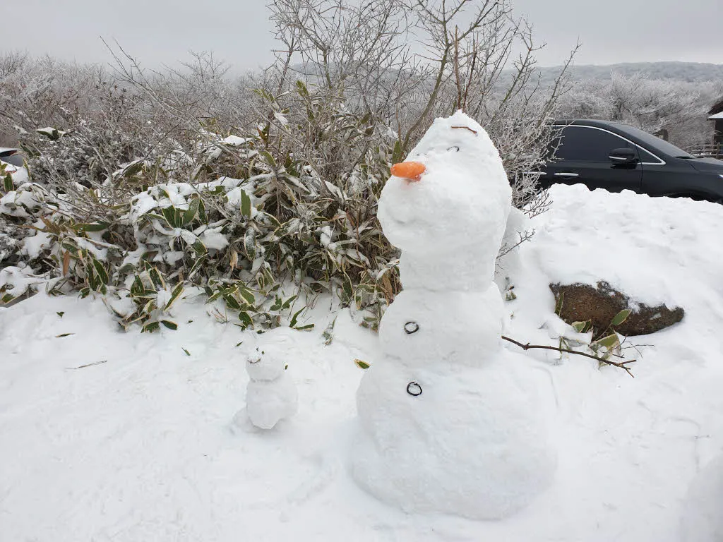 한라산 1100고지 - 람사르습지의 설경
