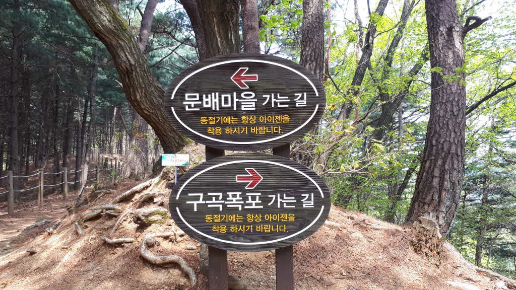 등산로와 만나는 능선 구간