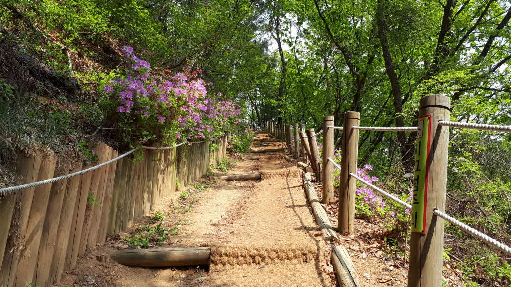 언덕을 오르는 길