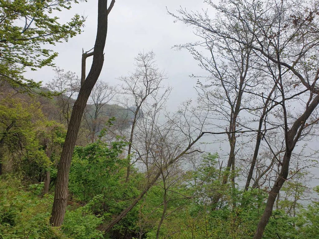 구봉도의 끝을 향해 걷기