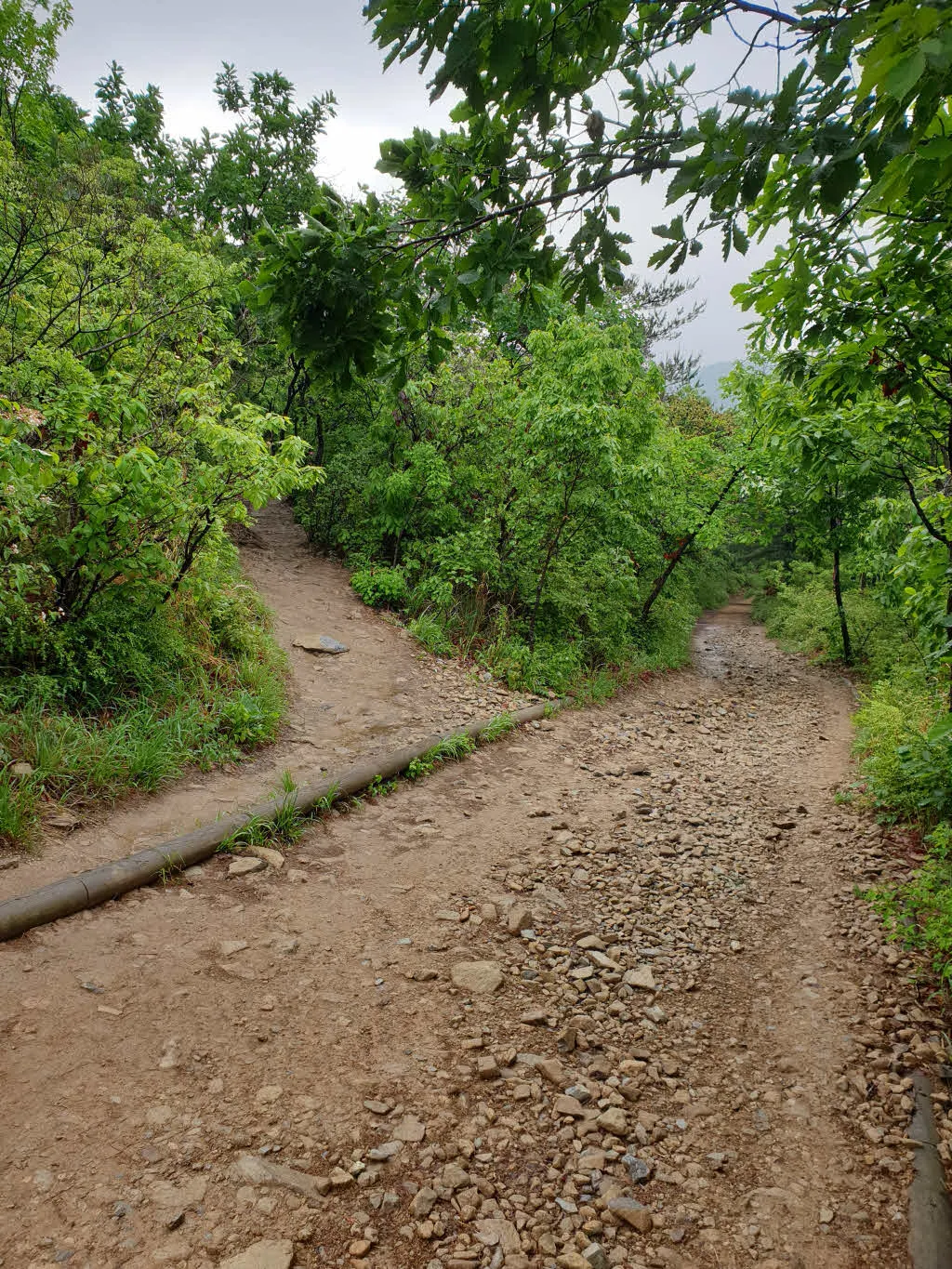 [걷기좋은길]계양산 둘레길 걷기 코스