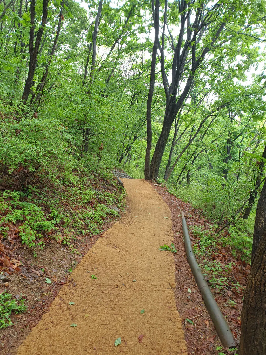 [걷기좋은길]계양산 둘레길 걷기 코스