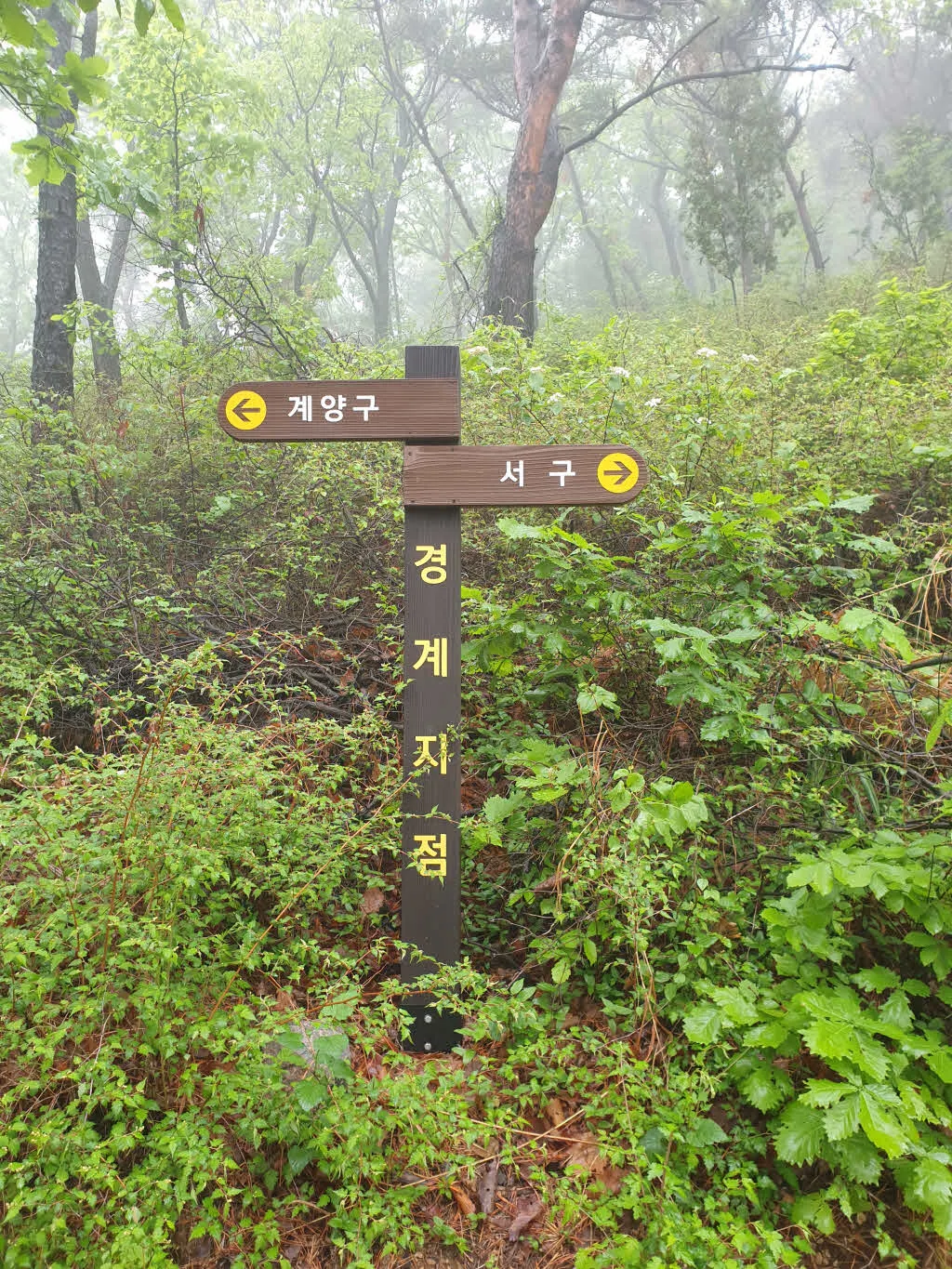 [걷기좋은길]계양산 둘레길 걷기 코스