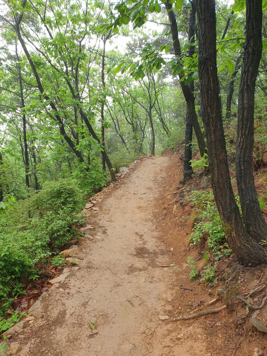 [걷기좋은길]계양산 둘레길 걷기 코스