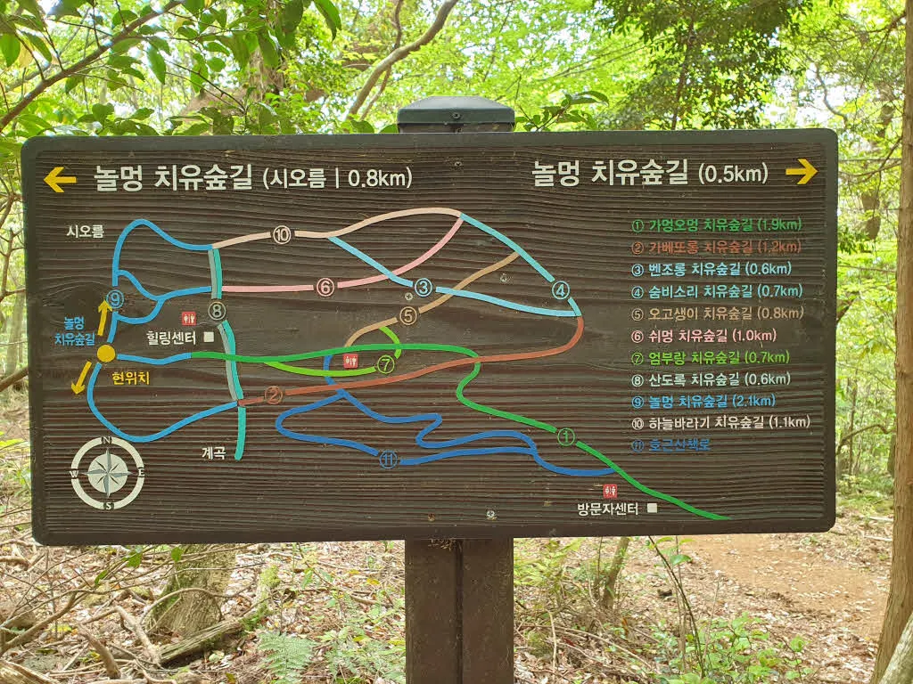 [걷기좋은길]서귀포 치유의 숲