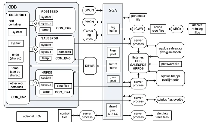 메모리-프로세스 관점에서의 Oracle 12c