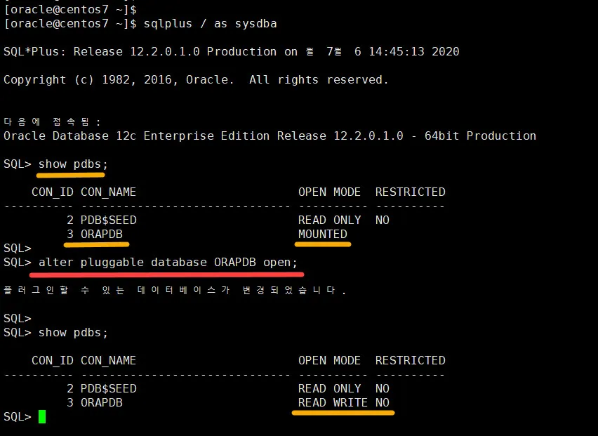 설치 중 생성한 PDB Open하기