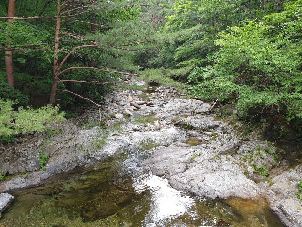 백담계곡으로 합류하는 작은 계곡