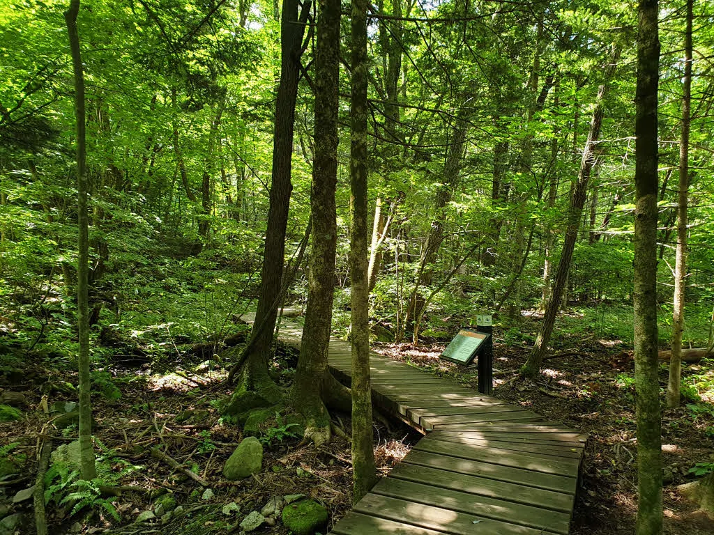 백담자연관찰로