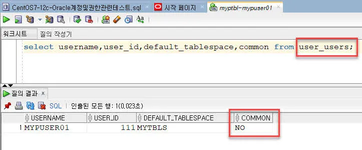 Oracle 현재 접속한 계정 조회하기