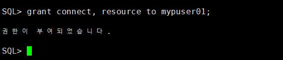 Oracle 접속 및 객체생성 권한 부여하기