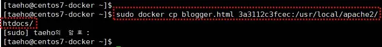 docker cp 명령으로 컨테이너 내부로 파일 복사하기
