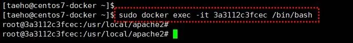 docker exe 명령으로 쉘을 통해 컨테이너 접속하기