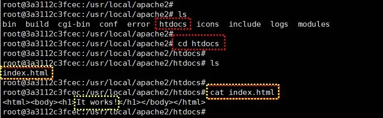 Docker Apache Container 접속
