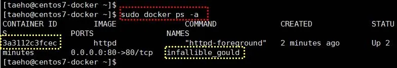 docker container 보기