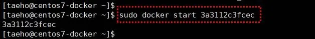 Docker 컨테이너 실행