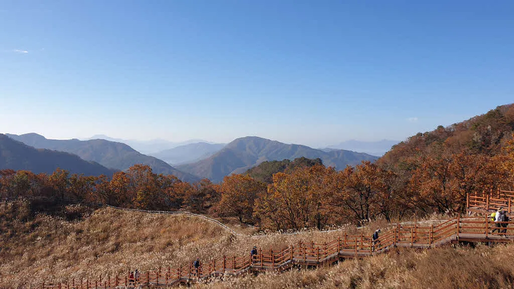 억새밭과 첩첩산중