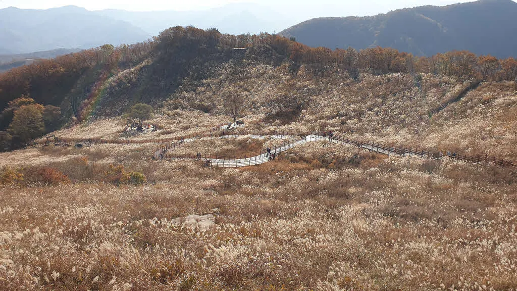 명성산 억새밭 전망대에서