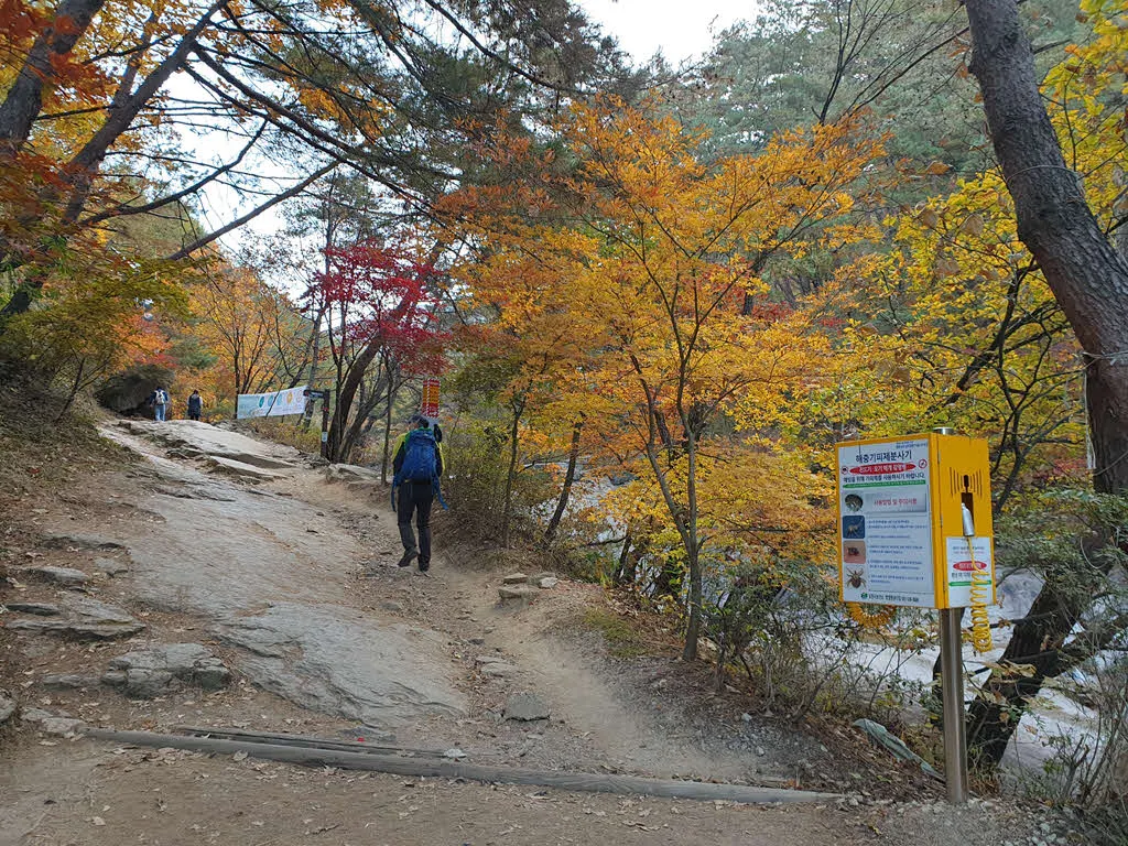 명성산 억새밭 가는 길의 단풍