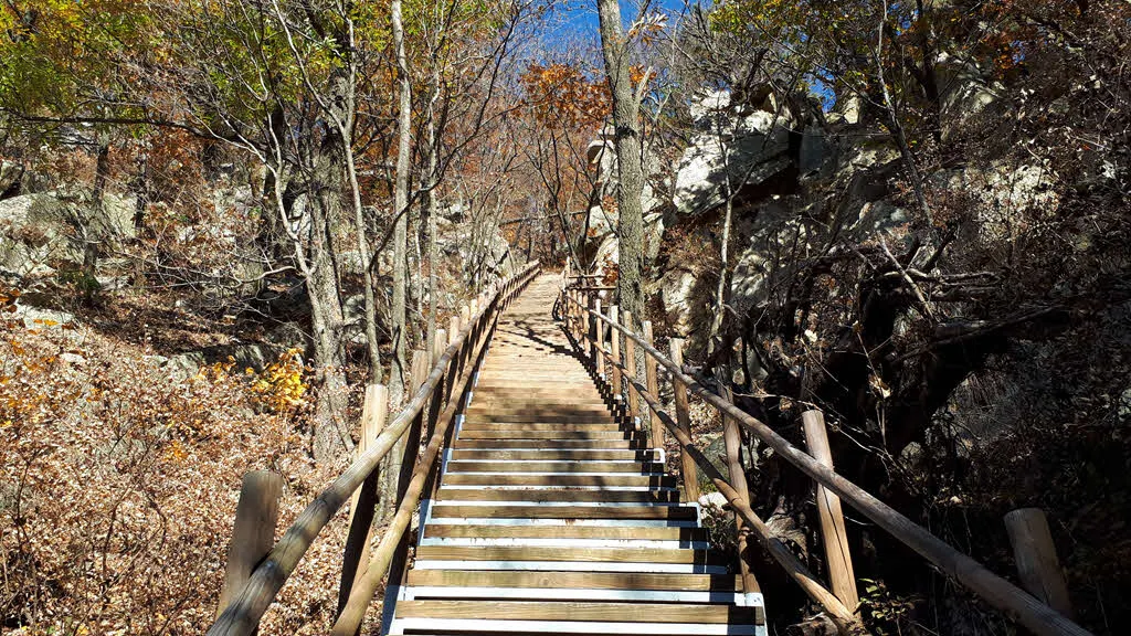 계단인가 사다리인가?