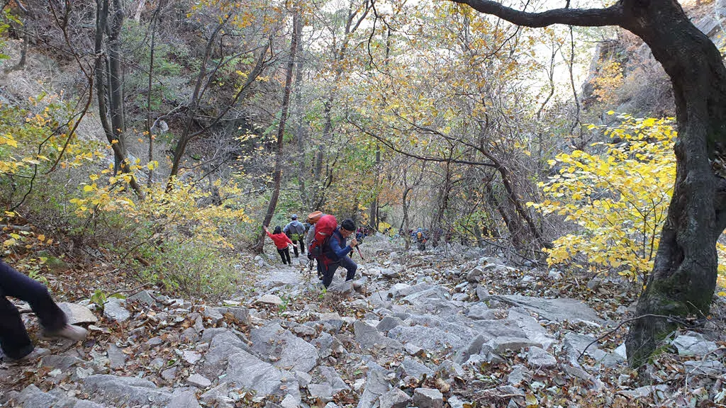 억새밭-자인사 코스