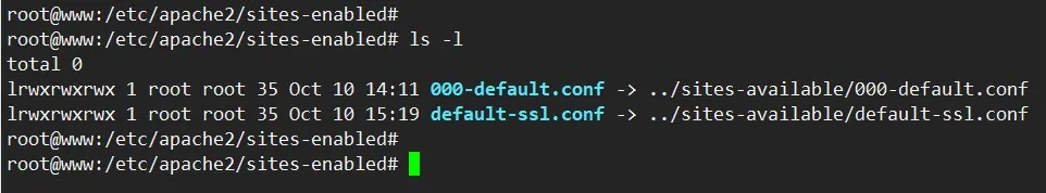 Ubuntu 20.04 LTS - Apache 2.4.41 의 아파치 설정 파일