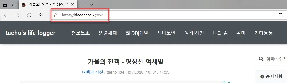 Tistory Blog의 URL - 숫자형