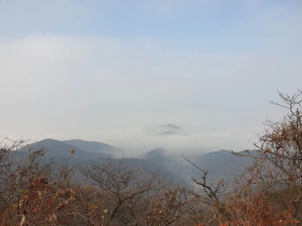 문수산 운해. 조금씩 걷히는 듯 하다.
