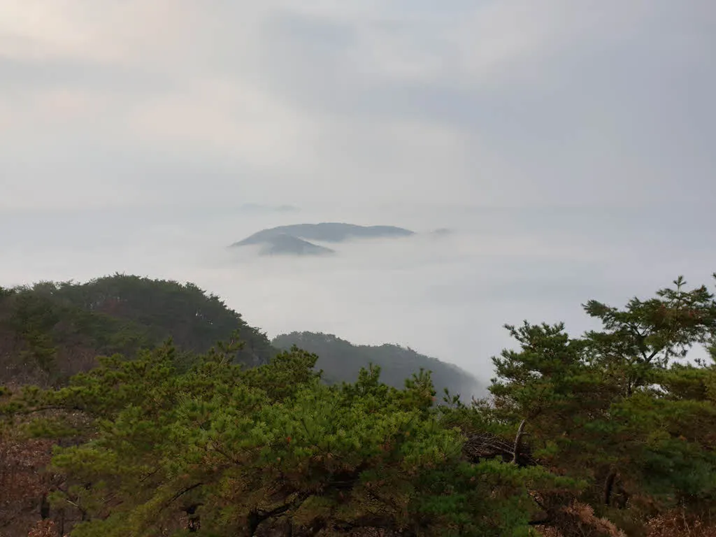 문수산서 본 운해