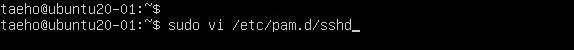 $ sudo vi /etc/pam.d/sshd