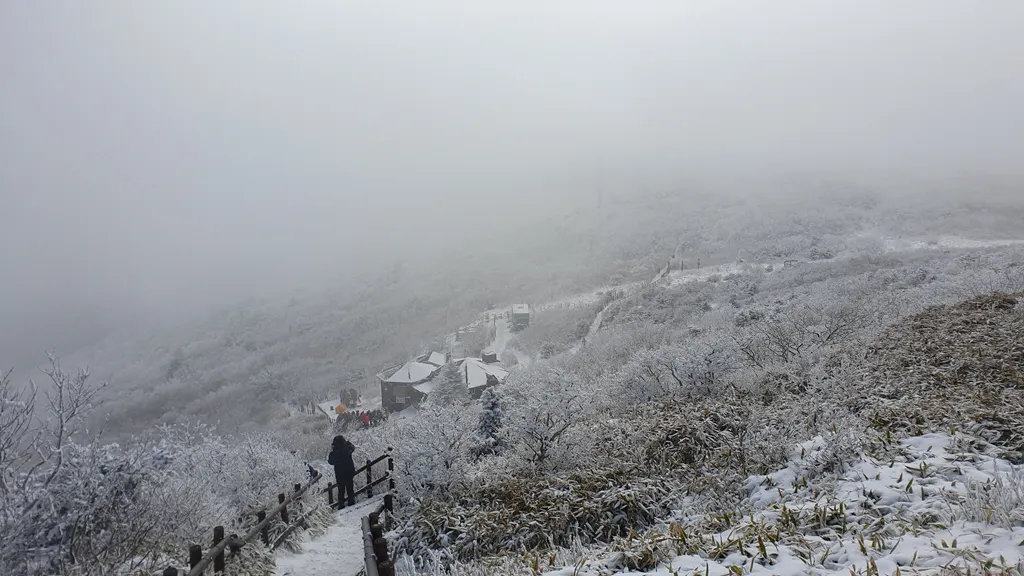 향적봉에서 바라본 향적봉대피소